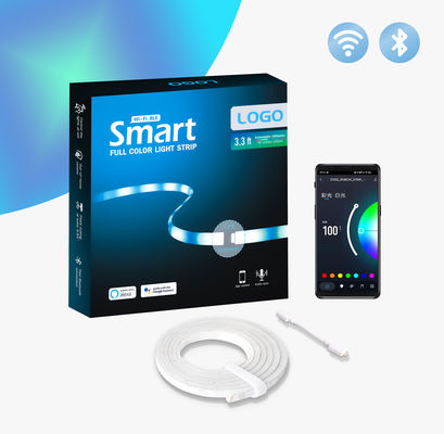 USB Prot 1m 10W Smart Full Color Light Strip 16 Million Colors 10m IP65