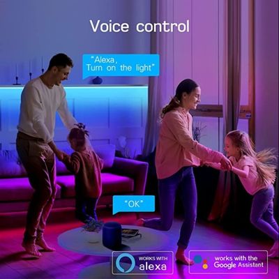 USB Prot 1m 10W Smart Full Color Light Strip 16 Million Colors 10m IP65